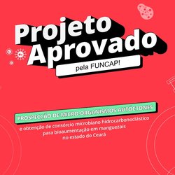 Camocim - Pesquisa Funcap/Edmo Montes