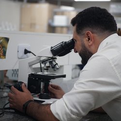 Extrato de graviola no combate às larvas do Aedes aegypti