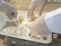 2 - Homogeneização do hidrogel das fraldas descartáveis