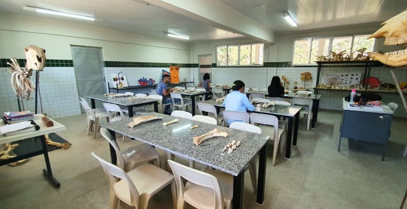 Laboratório de Morfologia Animal