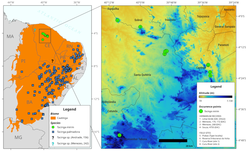 Mapa de distribuição Tacinga mirim e Tacinga palmadora