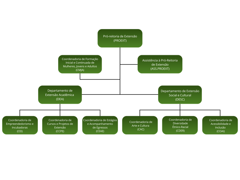 Organograma Proext 2025