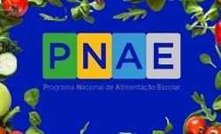 PNAE logo