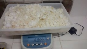 3 - Pesagem do hidrogel retirado das fraldas descartáveis