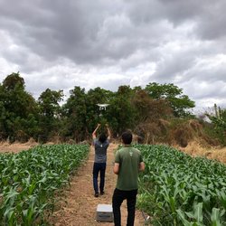 Pesquisa de drones para economia de água na plantação de milho