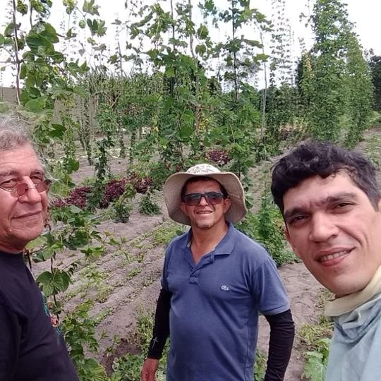 Professor Samuel, à direita, em plantio de Lúpulo em Guaraciaba do Norte