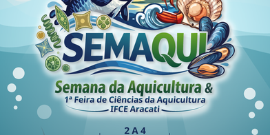 Programação Capa