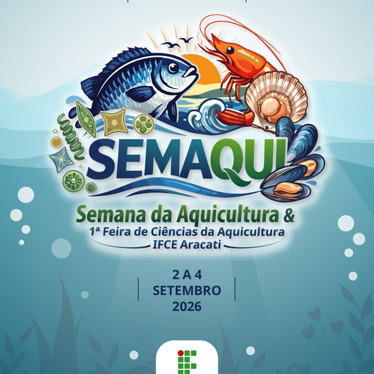 Programação Capa