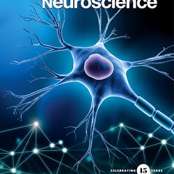 Revista A2