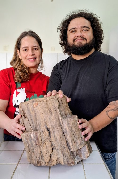 Tronco fóssil Jaguaribe