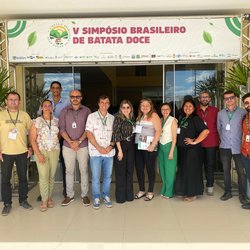 V Simpósio Brasileiro de Batata-doce