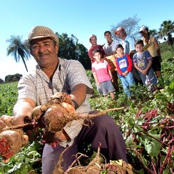 agricultura familiar