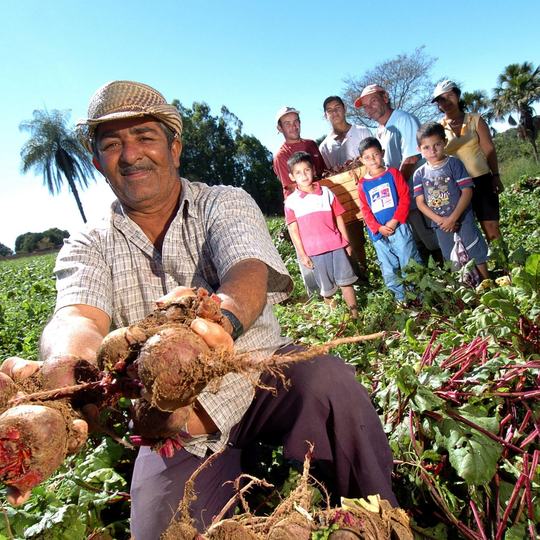 agricultura familiar