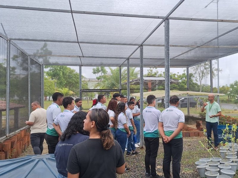 Viveiro IFCE Maracanaú recebe visita de Estudantes. Foto: divulgação