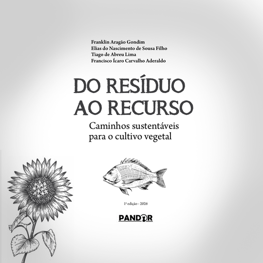 Divulgação livro