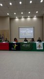 Serviço Social 3