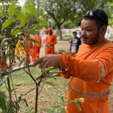 Atividade prática encerrou curso
